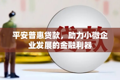 温州平安普惠贷款，助力小微企业发展的金融利器