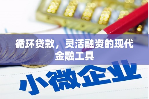 温州循环贷款，灵活融资的现代金融工具