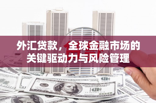 温州外汇贷款，全球金融市场的关键驱动力与风险管理
