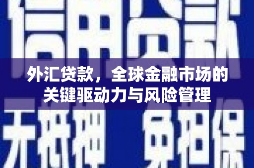 温州外汇贷款，全球金融市场的关键驱动力与风险管理