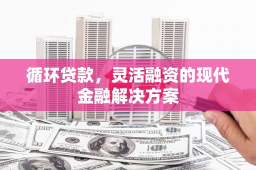 温州循环贷款，灵活融资的现代金融解决方案