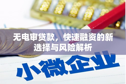 温州无电审贷款，快速融资的新选择与风险解析