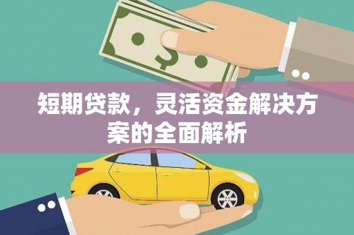温州短期贷款，灵活资金解决方案的全面解析