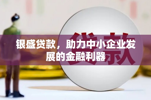 温州银盛贷款，助力中小企业发展的金融利器