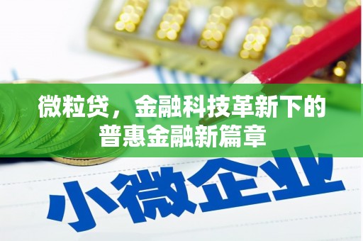 温州微粒贷，金融科技革新下的普惠金融新篇章