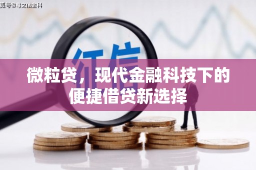 温州微粒贷，现代金融科技下的便捷借贷新选择