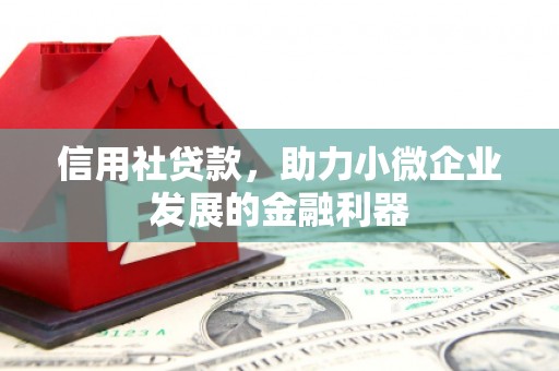 温州信用社贷款，助力小微企业发展的金融利器