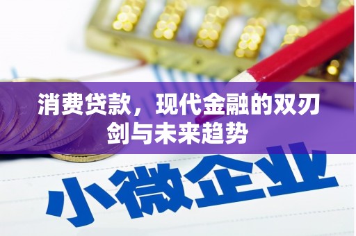 温州消费贷款，现代金融的双刃剑与未来趋势