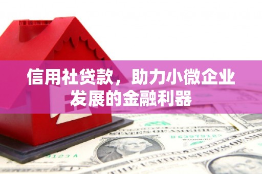 温州信用社贷款，助力小微企业发展的金融利器