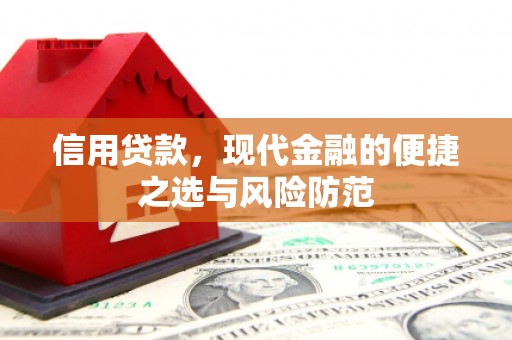 温州信用贷款，现代金融的便捷之选与风险防范