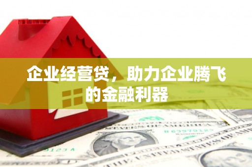 温州企业经营贷，助力企业腾飞的金融利器