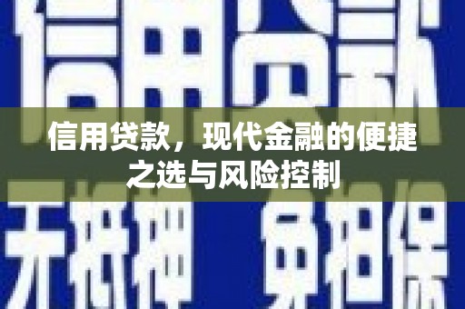 温州信用贷款，现代金融的便捷之选与风险控制