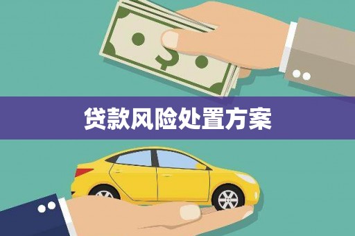 温州贷款风险处置方案