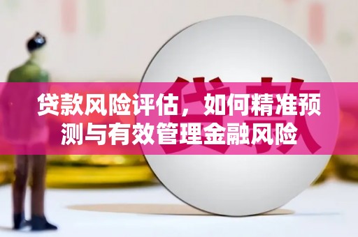 温州贷款风险评估，如何精准预测与有效管理金融风险