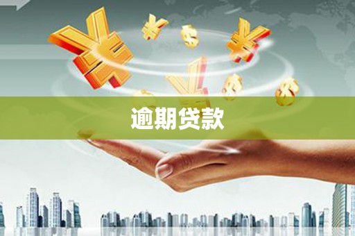 温州逾期贷款