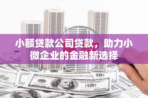温州小额贷款公司贷款，助力小微企业的金融新选择