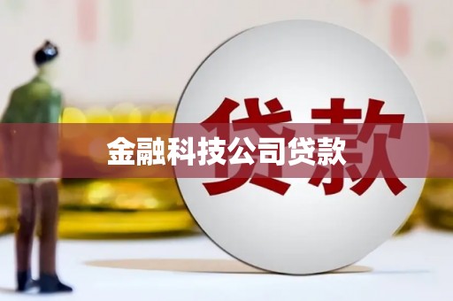 温州金融科技公司贷款