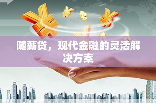 温州随薪贷，现代金融的灵活解决方案