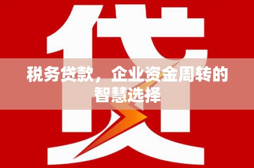 温州税务贷款，企业资金周转的智慧选择