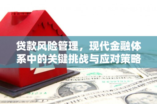 温州贷款风险管理，现代金融体系中的关键挑战与应对策略