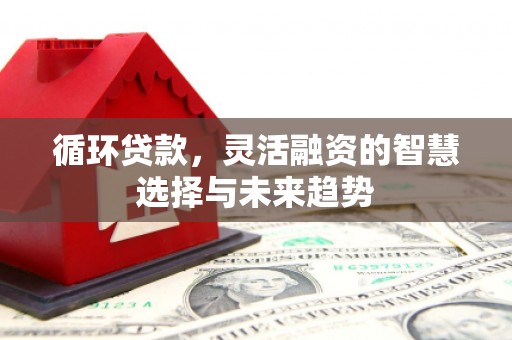 温州循环贷款，灵活融资的智慧选择与未来趋势