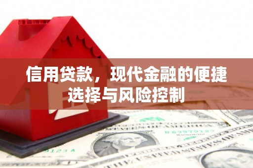 温州信用贷款，现代金融的便捷选择与风险控制