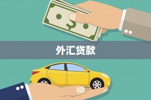 温州外汇贷款