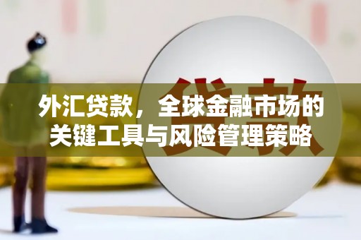 温州外汇贷款，全球金融市场的关键工具与风险管理策略
