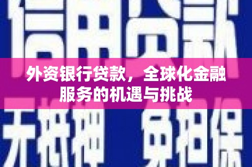 温州外资银行贷款，全球化金融服务的机遇与挑战