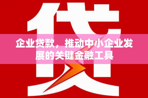 温州企业贷款，推动中小企业发展的关键金融工具