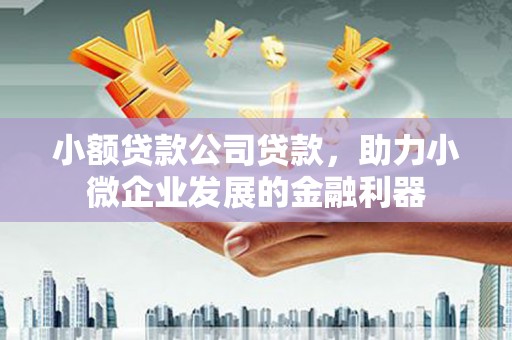 温州小额贷款公司贷款，助力小微企业发展的金融利器
