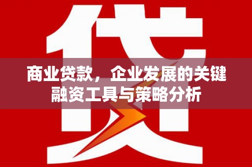温州商业贷款，企业发展的关键融资工具与策略分析