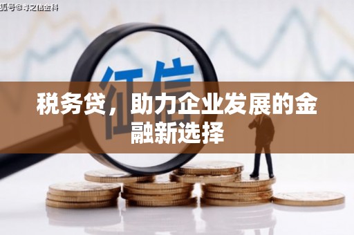 温州税务贷，助力企业发展的金融新选择
