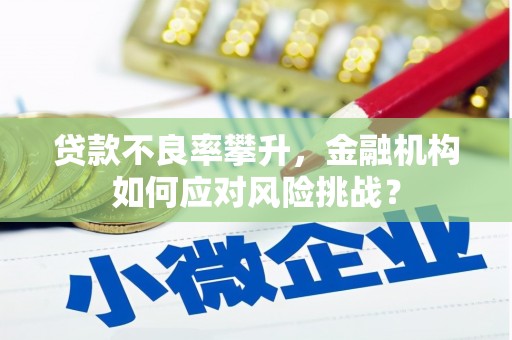 温州贷款不良率攀升，金融机构如何应对风险挑战？