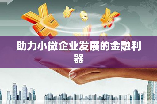 温州助力小微企业发展的金融利器