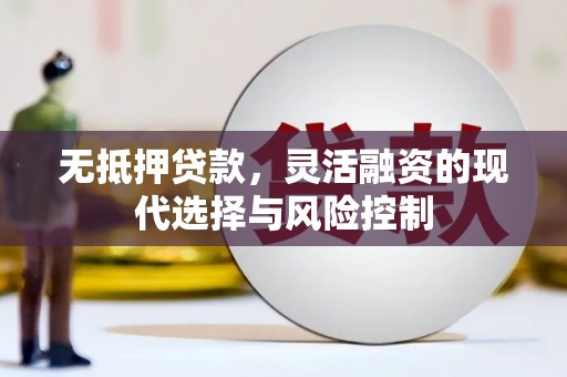 温州无抵押贷款，灵活融资的现代选择与风险控制