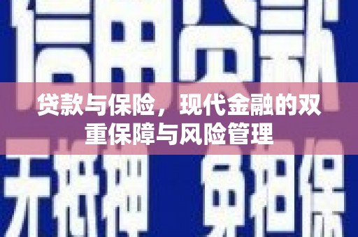 温州贷款与保险，现代金融的双重保障与风险管理