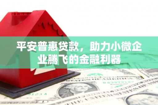 温州平安普惠贷款，助力小微企业腾飞的金融利器