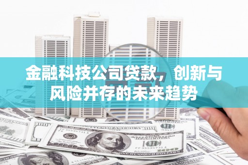 温州金融科技公司贷款，创新与风险并存的未来趋势