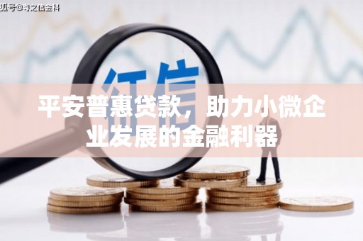 温州平安普惠贷款，助力小微企业发展的金融利器