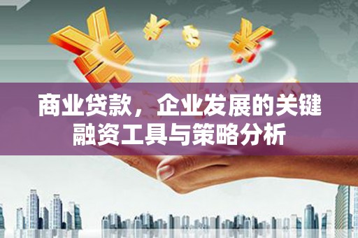 温州商业贷款，企业发展的关键融资工具与策略分析