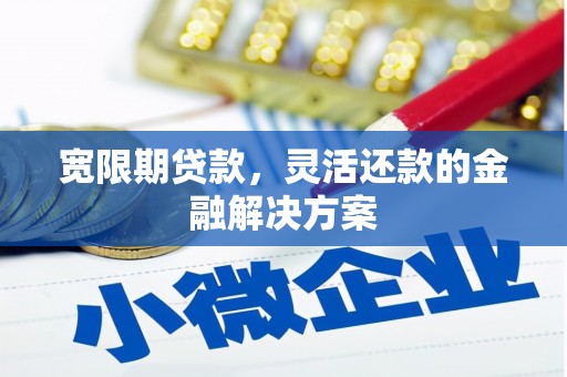 温州宽限期贷款，灵活还款的金融解决方案