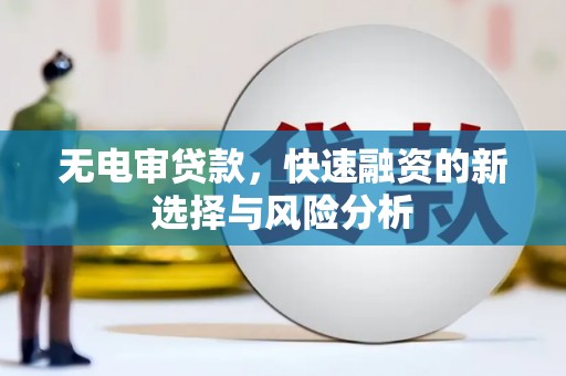 温州无电审贷款，快速融资的新选择与风险分析