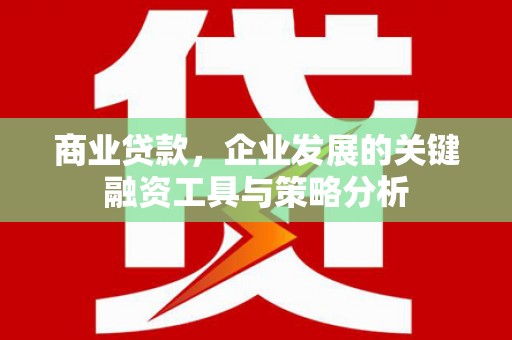 温州商业贷款，企业发展的关键融资工具与策略分析