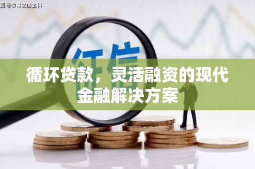 温州循环贷款，灵活融资的现代金融解决方案