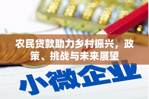 温州农民贷款助力乡村振兴，政策、挑战与未来展望