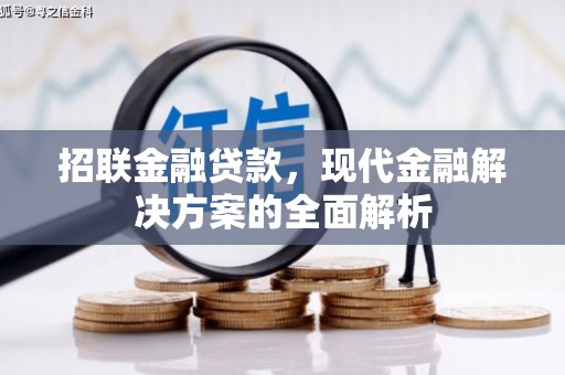 温州招联金融贷款，现代金融解决方案的全面解析