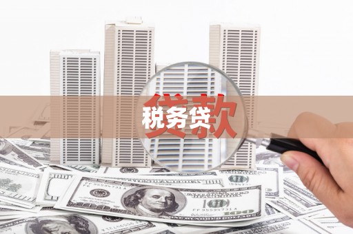 温州税务贷