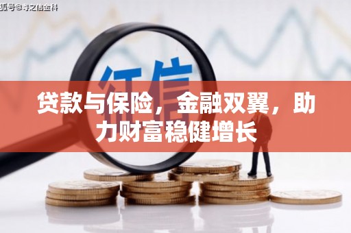 温州贷款与保险，金融双翼，助力财富稳健增长