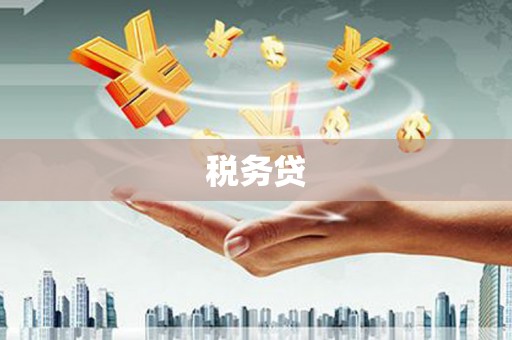温州税务贷